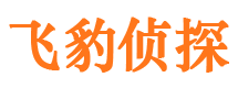 沙雅市私家侦探